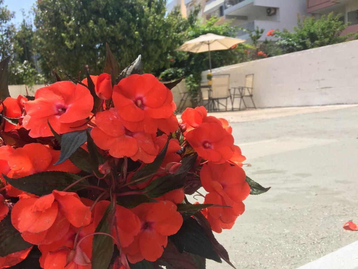 Renovated Apt 100M From Beach Wifi Ac Anavyssos Ngoại thất bức ảnh